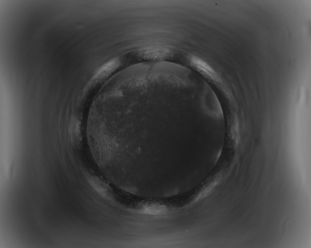 X0000085840258200703231449
