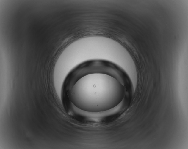 X0000085840260200703231449