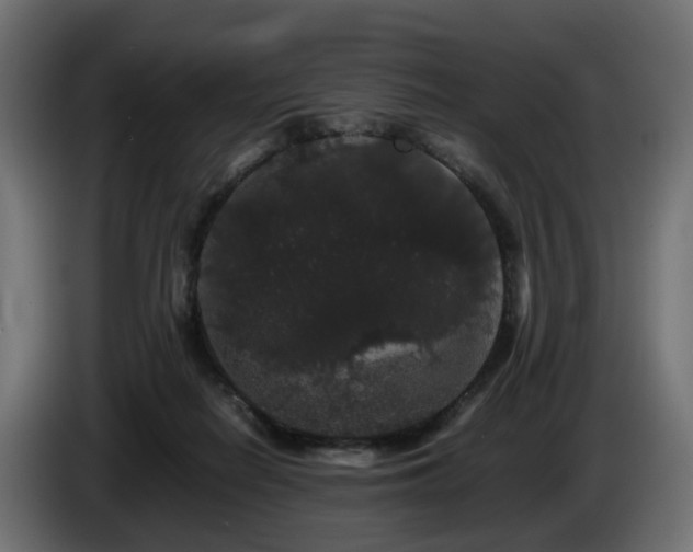 X0000085840266200703231449