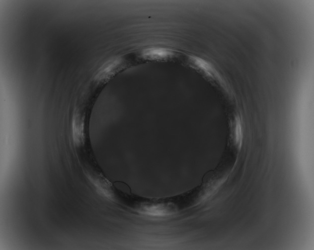 X0000085840267200703231449