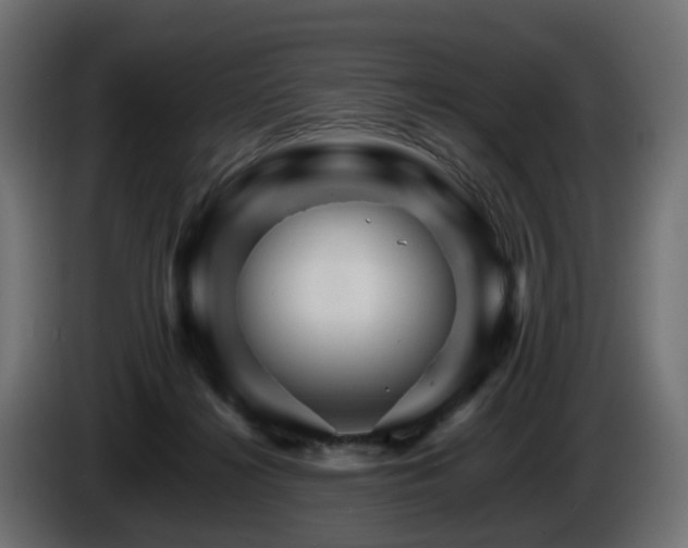 X0000085840268200703231449