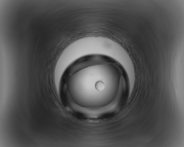 X0000085840272200703231449