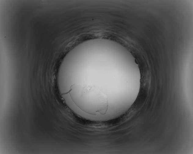 X0000085840279200703231449