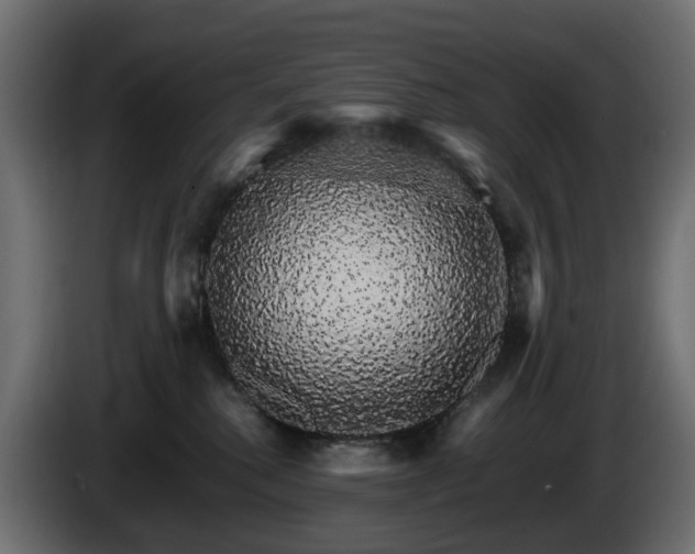 X0000085840280200703231449