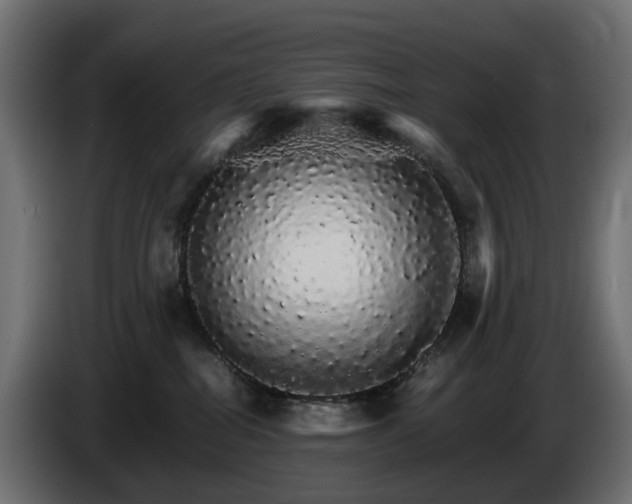 X0000085840282200703231449