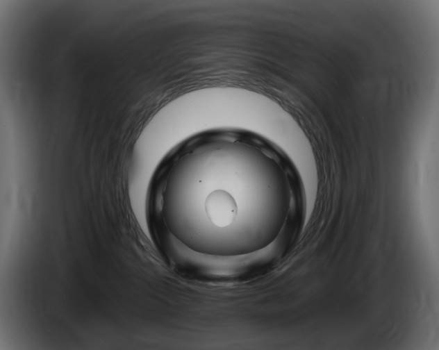 X0000085840284200703231449