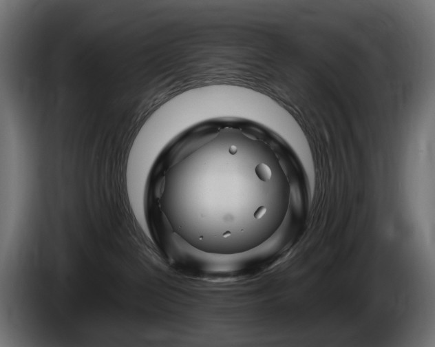 X0000085840286200703231449