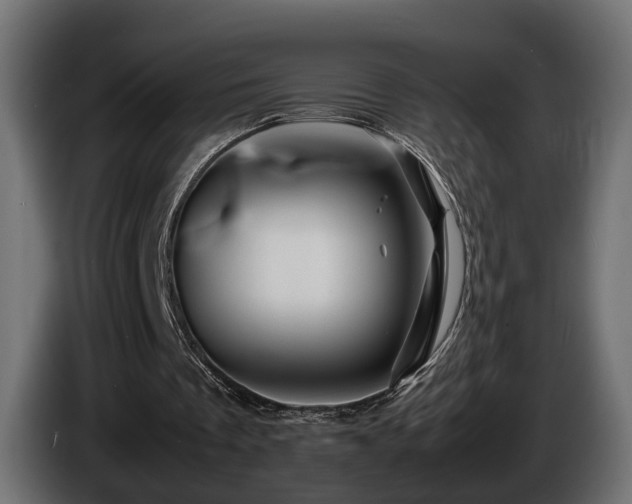 X0000085840289200703231449