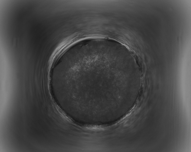 X0000085840293200703231448