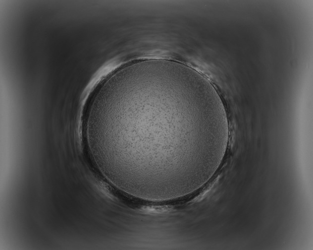 X0000085840296200703231448