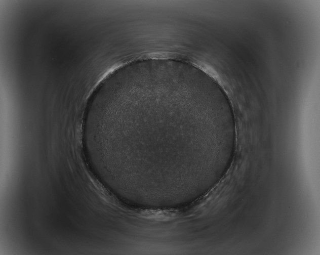 X0000085840297200703231448