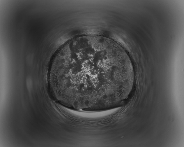 X0000085840299200703231448