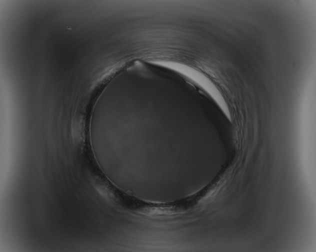 X0000085840303200703231448