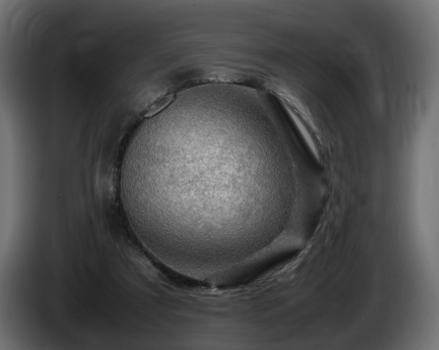 X0000085840305200703231448