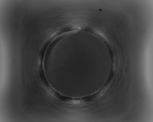 X0000085840314200703231448