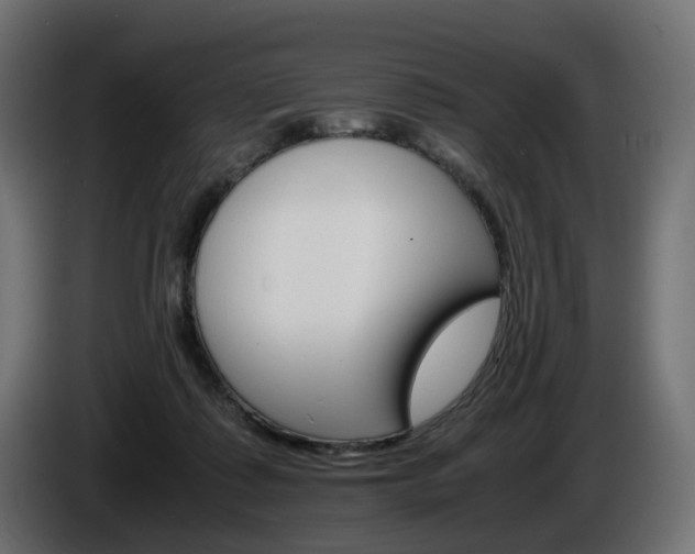 X0000085840315200703231448