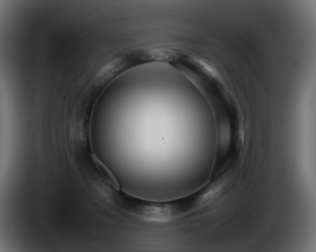 X0000085840317200703231448