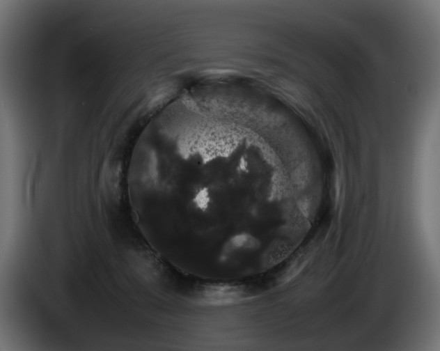 X0000085840319200703231448