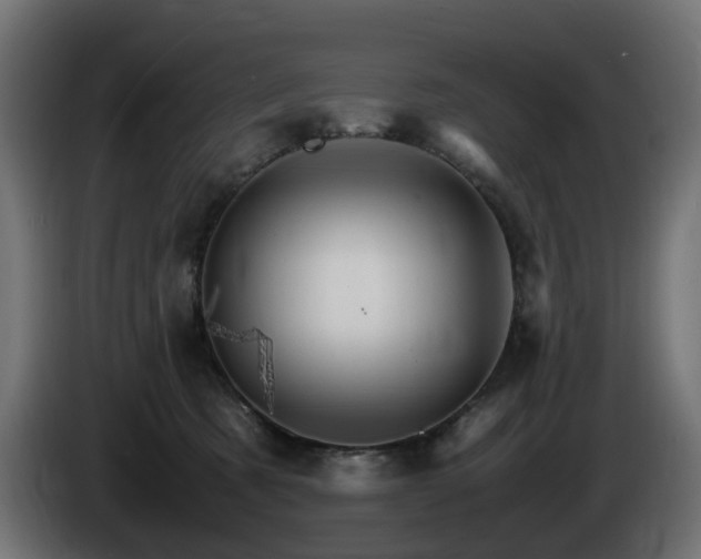 X0000085840321200703231448