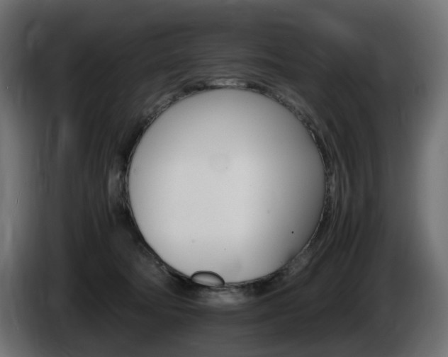 X0000085840322200703231448