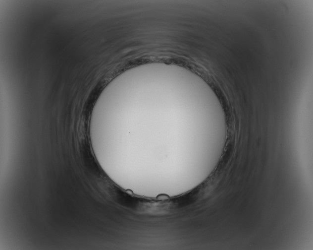 X0000085840323200703231448