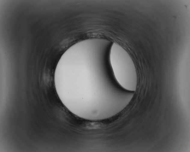 X0000085840324200703231448