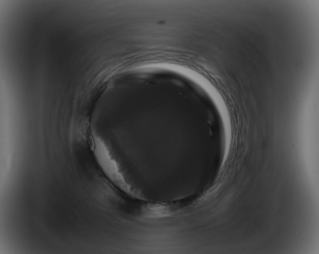 X0000085840325200703231448