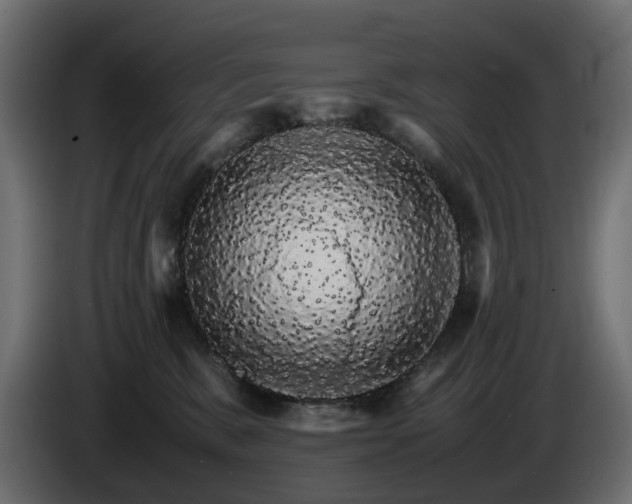 X0000085840327200703231448