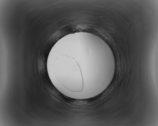X0000085840328200703231448