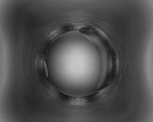 X0000085840329200703231448
