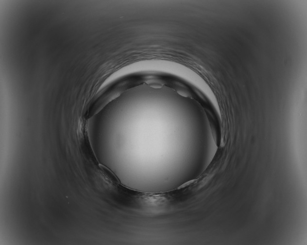 X0000085840333200703231448