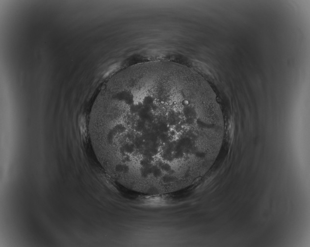 X0000085840335200703231448