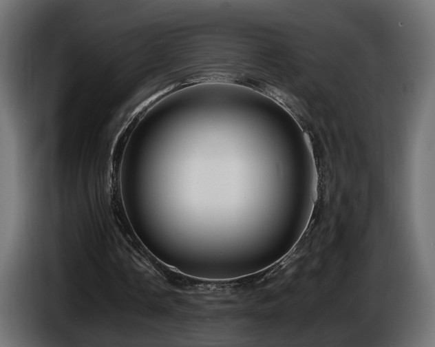 X0000085840338200703231447