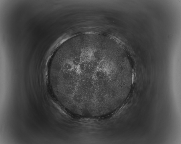 X0000085840339200703231447
