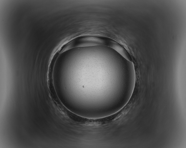 X0000085840340200703231447