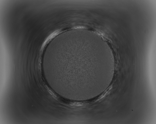 X0000085840341200703231447
