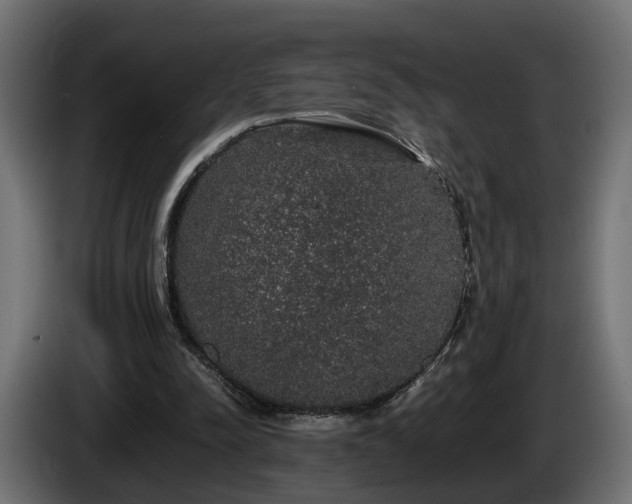 X0000085840342200703231447