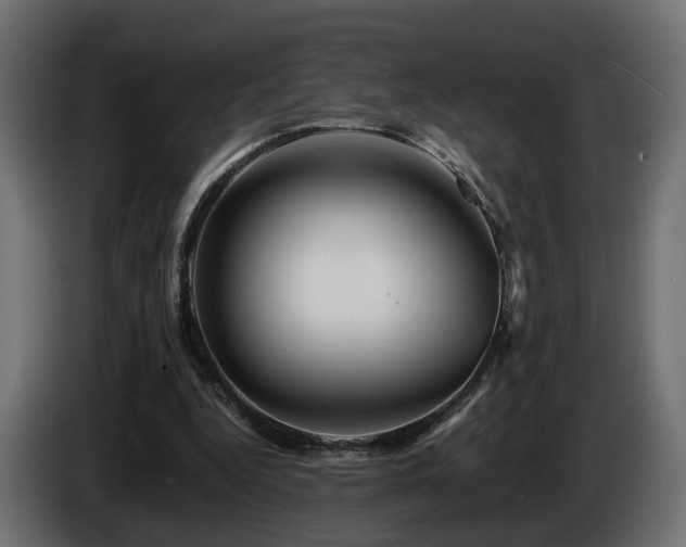 X0000085840344200703231447