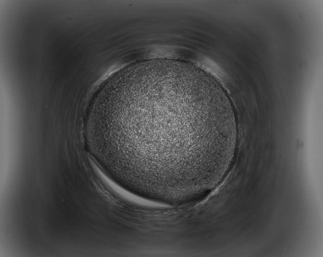 X0000085840345200703231447