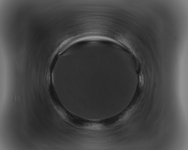 X0000085840348200703231447