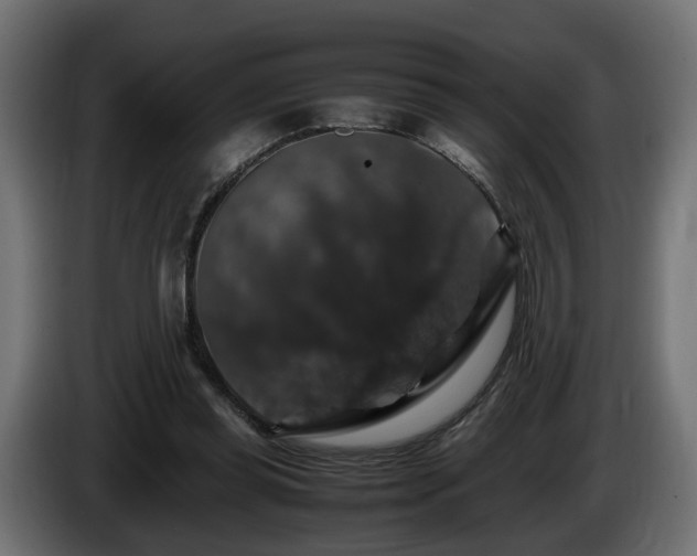 X0000085840349200703231447