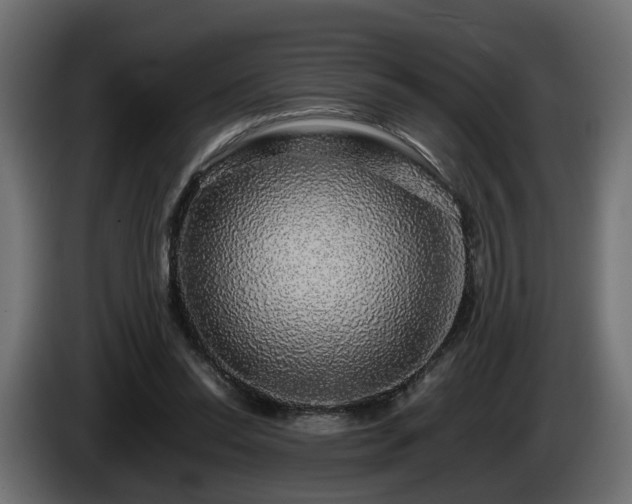 X0000085840350200703231447