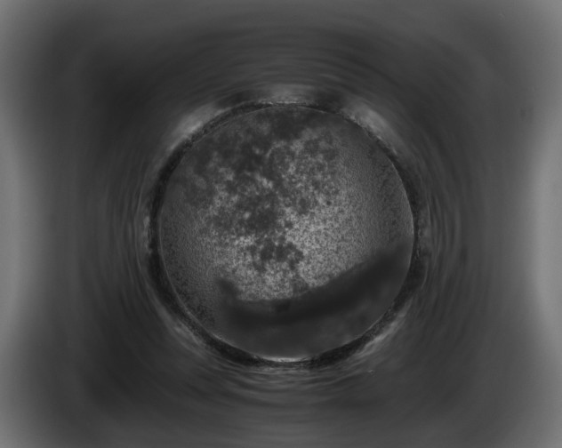 X0000085840351200703231447