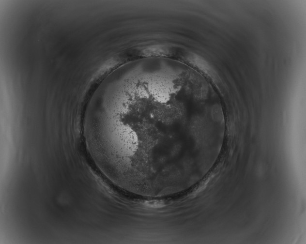 X0000085840353200703231447