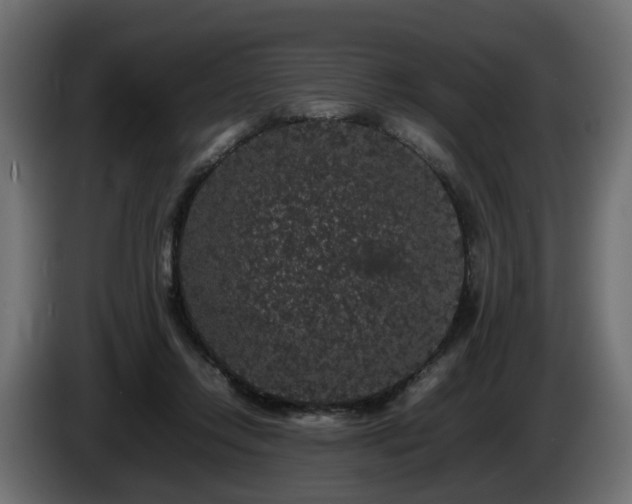 X0000085840358200703231447