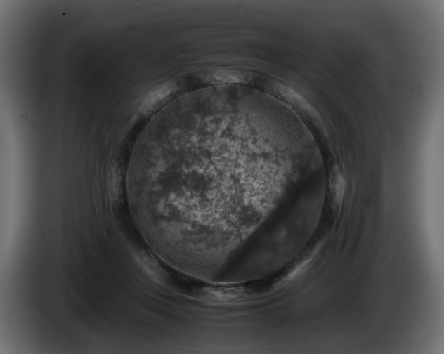 X0000085840359200703231447