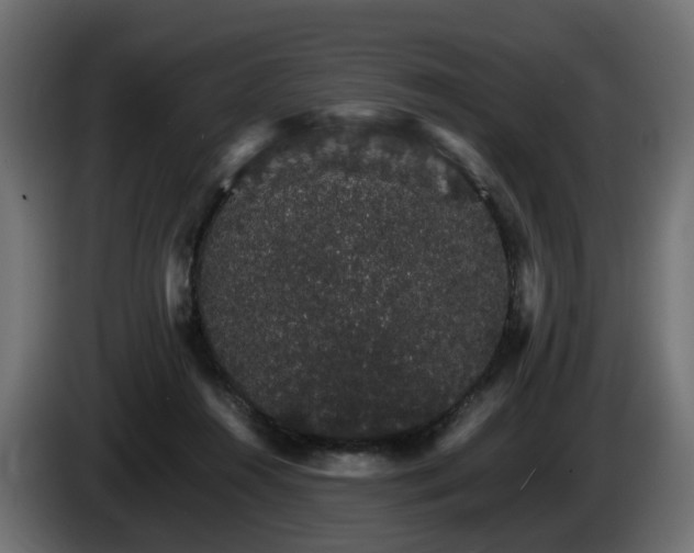 X0000085840360200703231447