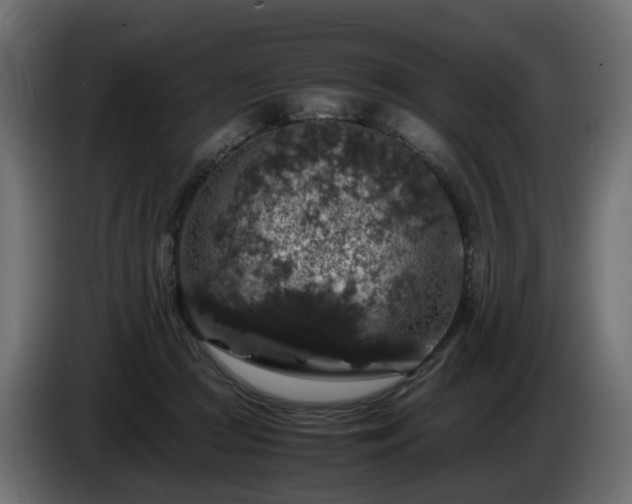 X0000085840361200703231448