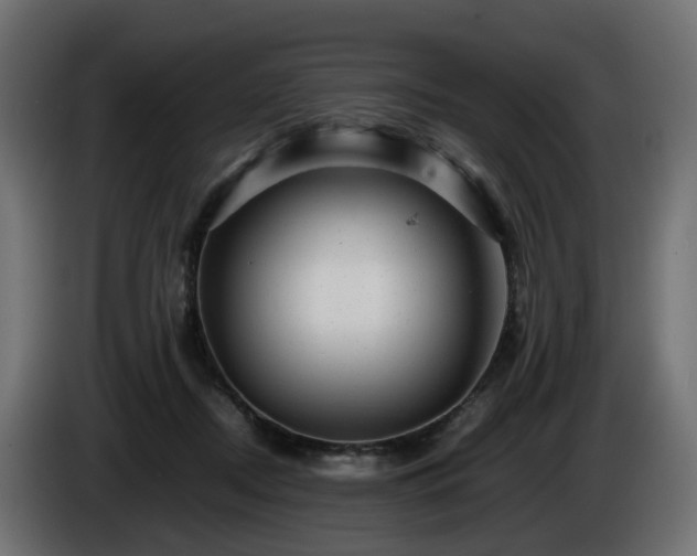 X0000085840362200703231448
