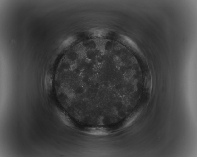 X0000085840363200703231448